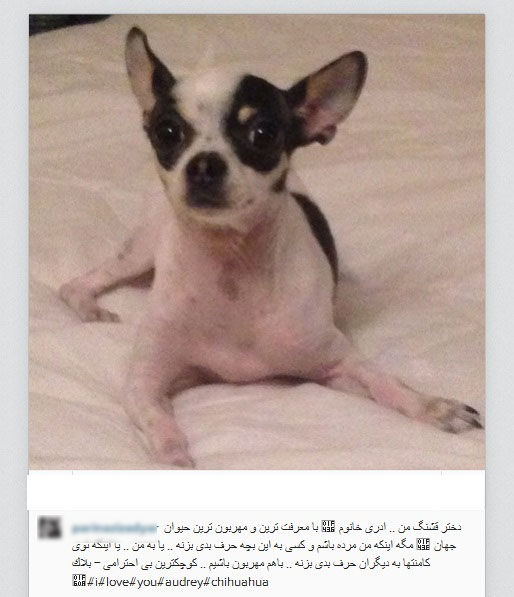 كوچكترين بى احترامى به سگم= بلاك كوچكترين بى احترامى به سگم= بلاك