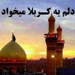 دل این پرسپولیسی هوس کربلا کرده +عکس