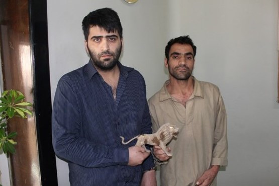 چاهکن و چوپان دروغگو دستگیر شدند + عکس چاهکن و چوپان دروغگو دستگیر شدند + عکس