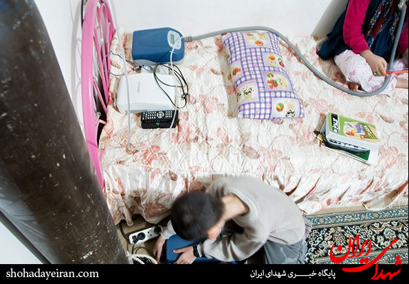 تصاویر/ مهمان ناخوانده تصاویر/ مهمان ناخوانده
