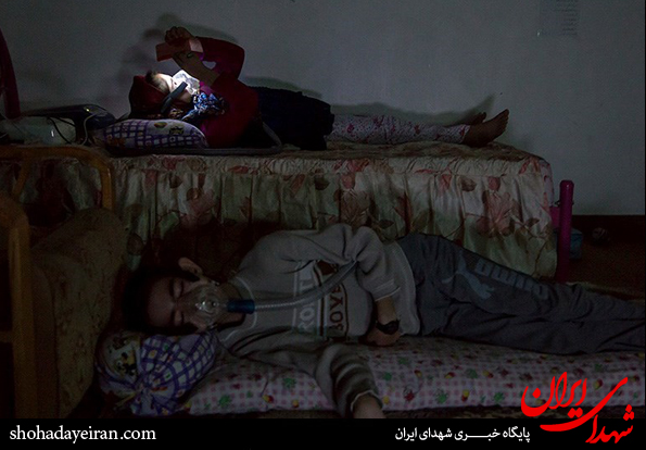 تصاویر/ مهمان ناخوانده تصاویر/ مهمان ناخوانده