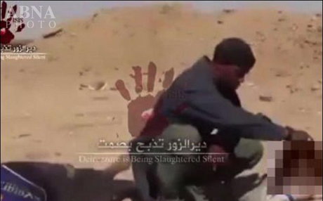 یک خواننده یک خواننده