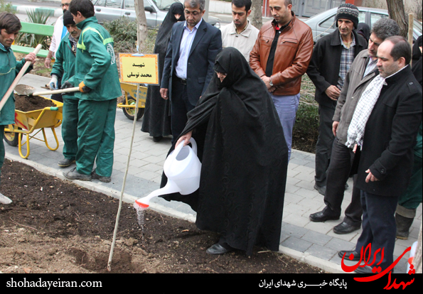 تصاویر/ مراسم درختکاری توسط خانواده های شهدا تصاویر/ مراسم درختکاری توسط خانواده های شهدا