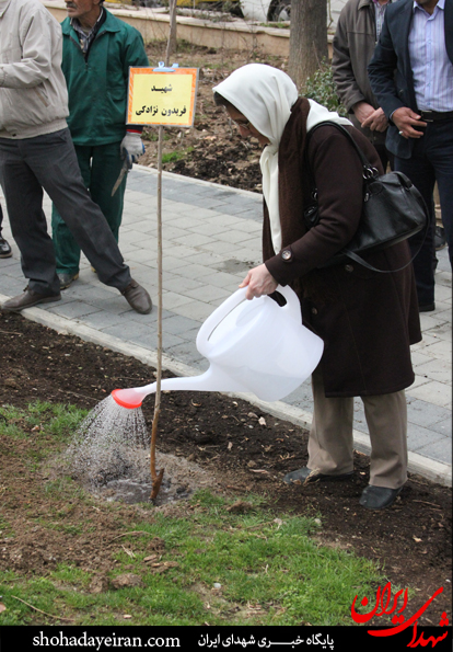 تصاویر/ مراسم درختکاری توسط خانواده های شهدا تصاویر/ مراسم درختکاری توسط خانواده های شهدا