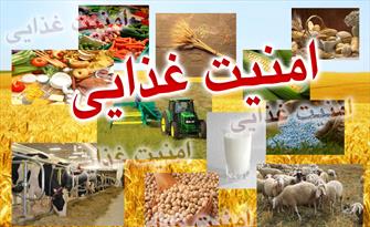 آغاز توزیع مرحله سوم سبد حمایت غذایی دولت آغاز توزیع مرحله سوم سبد حمایت غذایی دولت