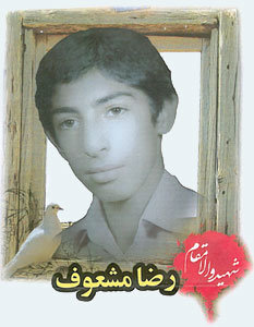 مادر شهیدی که مادر شهیدی که