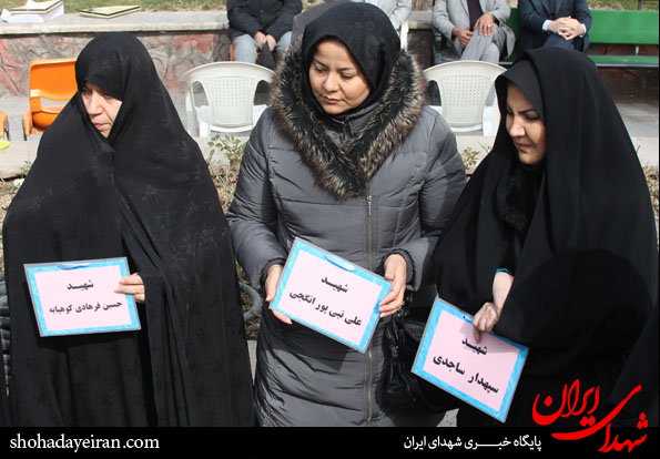 تصاویر/ درختانی که شهدای شدند تصاویر/ درختانی که شهدای شدند