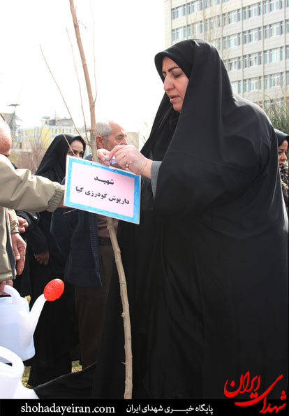 تصاویر/ درختانی که شهدای شدند تصاویر/ درختانی که شهدای شدند