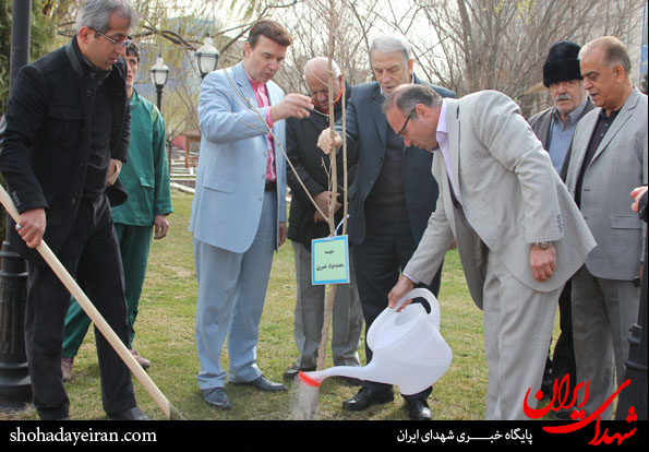 تصاویر/ درختانی که شهدای شدند تصاویر/ درختانی که شهدای شدند