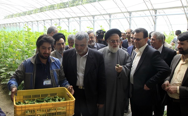 بنیاد شهید صاحب قزل آلا و خیار شد! بنیاد شهید صاحب قزل آلا و خیار شد!