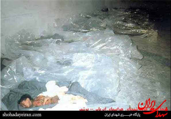 تصاویری از فاجعه ایرباس