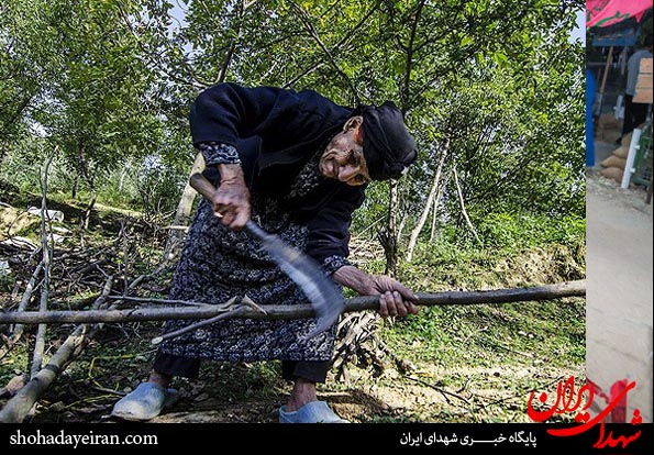 تصاویر/ بازسازی خانه یک شهید
