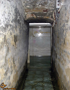 عکس/ چشمه جوشان دور مزار حضرت عباس(ع)