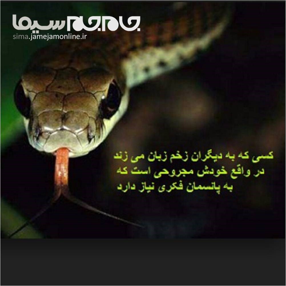 موج توهینهای اینترنتی به موج توهینهای اینترنتی به