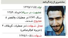 عقد متفاوت زوج کرمانی در جوار مزار شهید+تصاویر
