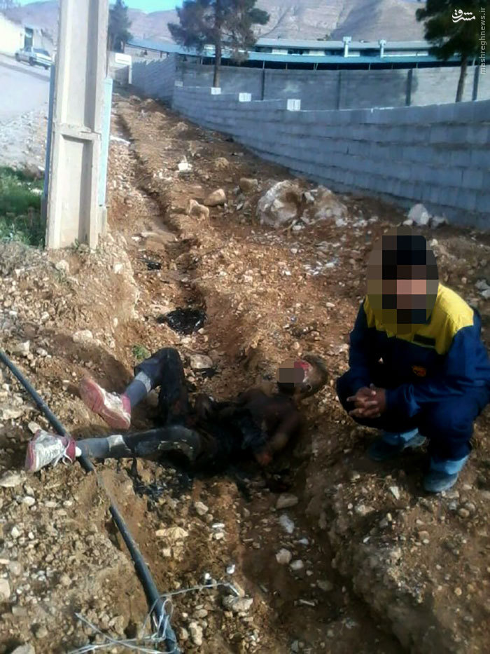 عکس/ عاقبت وحشتناک سرقت سیم برق