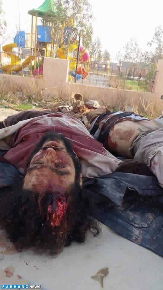 کوهی از کوهی از