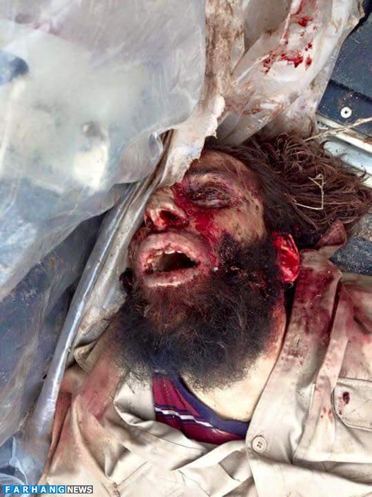 کوهی از کوهی از