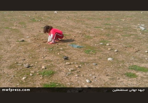 قحطی در فلوجه به دلیل محاصره داعش+تصاویر قحطی در فلوجه به دلیل محاصره داعش+تصاویر