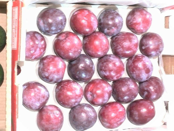 توزیع گسترده و شبانه میوههای خارجی! +تصاویر توزیع گسترده و شبانه میوههای خارجی! +تصاویر