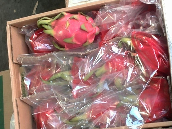 توزیع گسترده و شبانه میوههای خارجی! +تصاویر توزیع گسترده و شبانه میوههای خارجی! +تصاویر