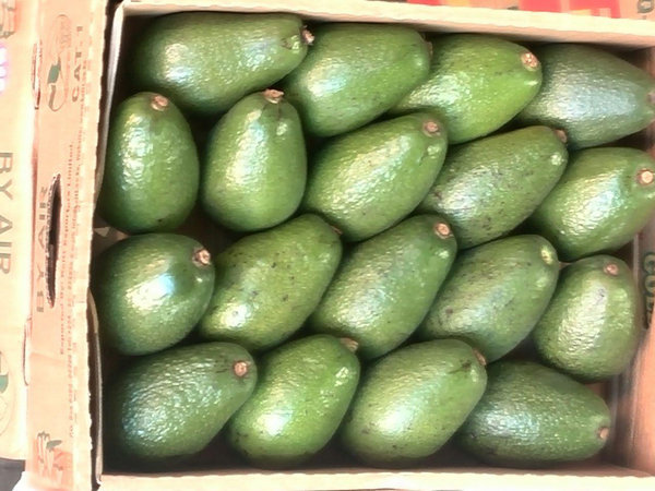 توزیع گسترده و شبانه میوههای خارجی! +تصاویر توزیع گسترده و شبانه میوههای خارجی! +تصاویر