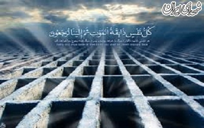 اگر مردم می‌دانستند قبرها چه خبر است!+عکس