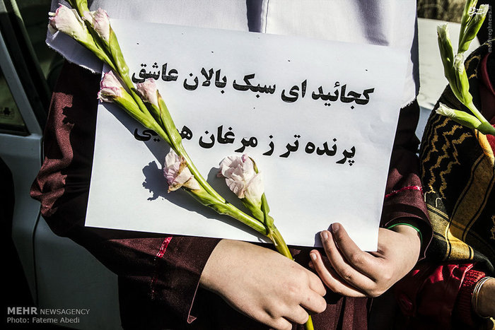 عکس/ تشییع پیکر سومین شهید مدافع حرم اراک