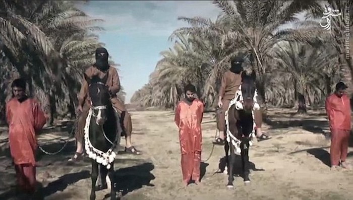 عکس/ داعش سه جوان اهل سنت را سر برید عکس/ داعش سه جوان اهل سنت را سر برید