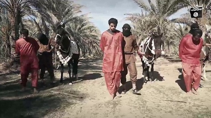 عکس/ داعش سه جوان اهل سنت را سر برید عکس/ داعش سه جوان اهل سنت را سر برید