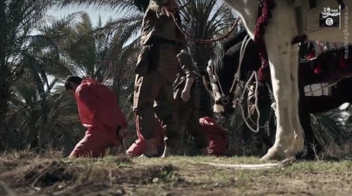 عکس/ داعش سه جوان اهل سنت را سر برید عکس/ داعش سه جوان اهل سنت را سر برید