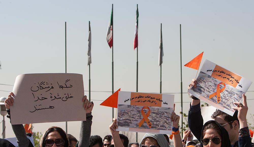 ماجرای ماجرای
