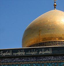 زینب؛ تربیت یافته خاندان زینب؛ تربیت یافته خاندان