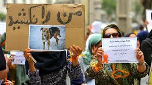 از مصیبت سگکشی تا بیخیالی برای گرد و خاک! از مصیبت سگکشی تا بیخیالی برای گرد و خاک!
