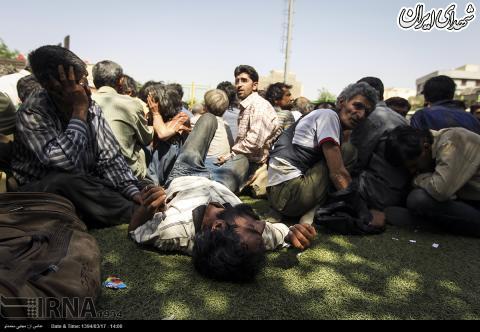 کشف 500 کیلوگرم مواد مخدر در تهران + تصاویر کشف 500 کیلوگرم مواد مخدر در تهران + تصاویر