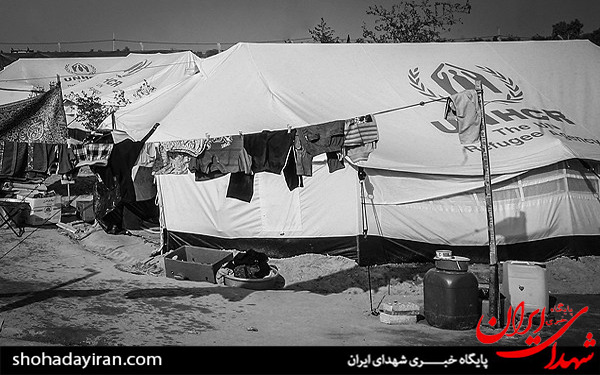عکس/اردوگاه آوارگان موصل در اطراف شهر نجف