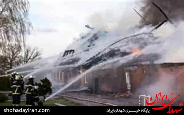 شاهین نجفی به درک واصل شد +عکس شاهین نجفی به درک واصل شد +عکس