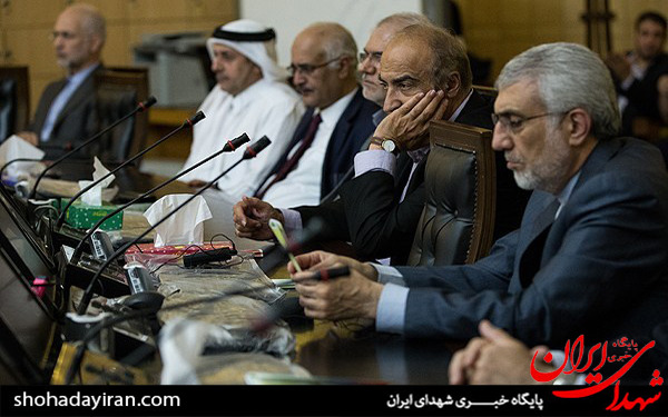 عکس/دیدار رئیس مجلس شورای اسلامی با سفرای کشورهای اسلامی