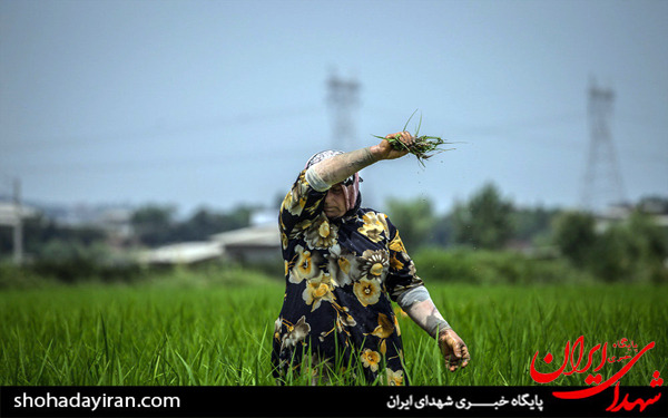 عکس/روزه داری و مشاغل سخت