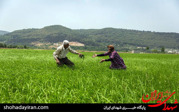 عکس/روزه داری و مشاغل سخت