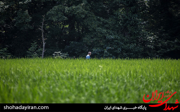 عکس/روزه داری و مشاغل سخت