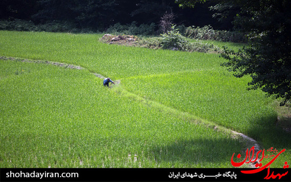 عکس/روزه داری و مشاغل سخت