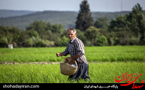 عکس/روزه داری و مشاغل سخت
