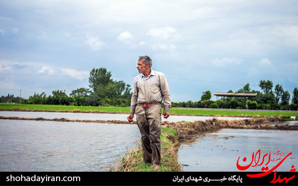 عکس/روزه داری و مشاغل سخت