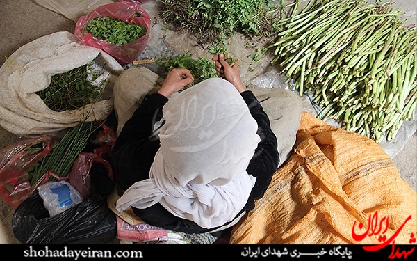 عکس/ شهری که مردمش شیمیایی هستند