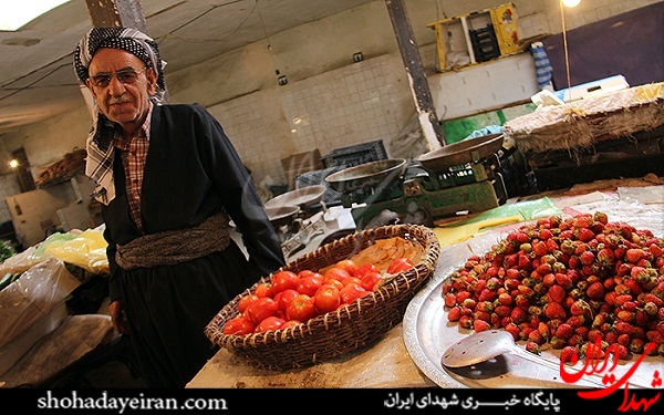 عکس/ شهری که مردمش شیمیایی هستند