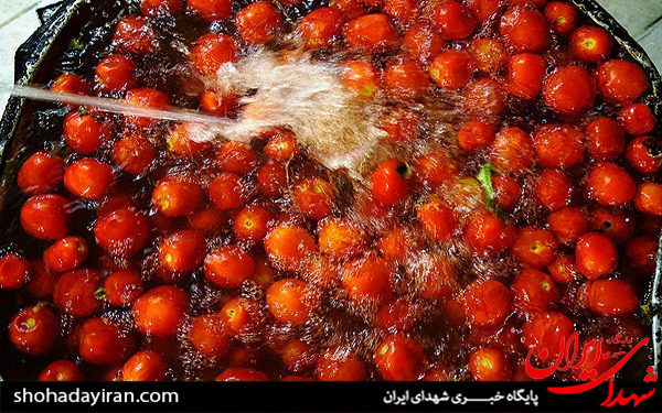 عکس/افطار در حرم حضرت عبدالعظیم الحسنی(ع)