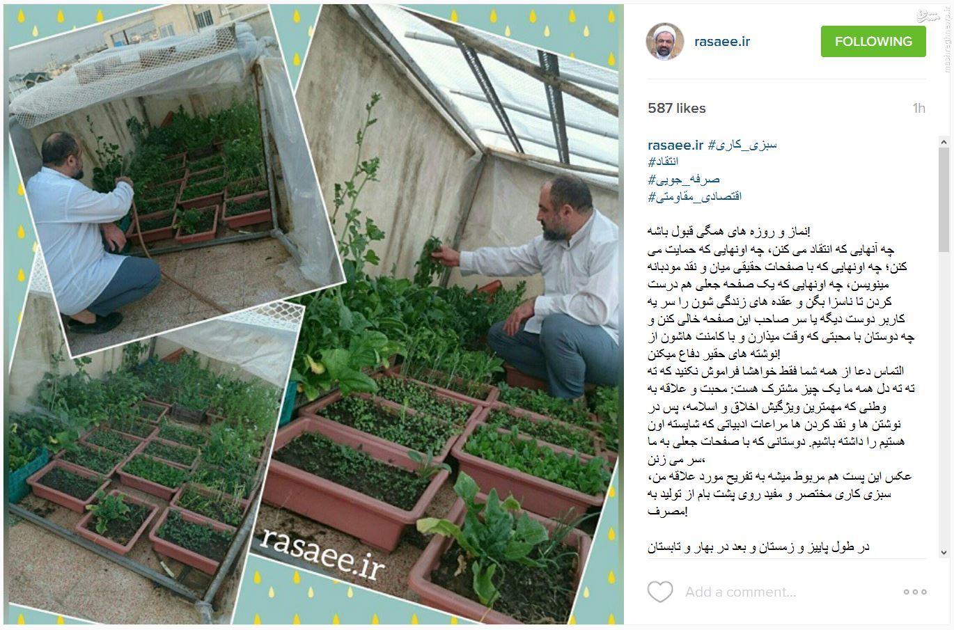سبزیکاری رسایی در راستای اقتصاد مقاومتی+عکس سبزیکاری رسایی در راستای اقتصاد مقاومتی+عکس