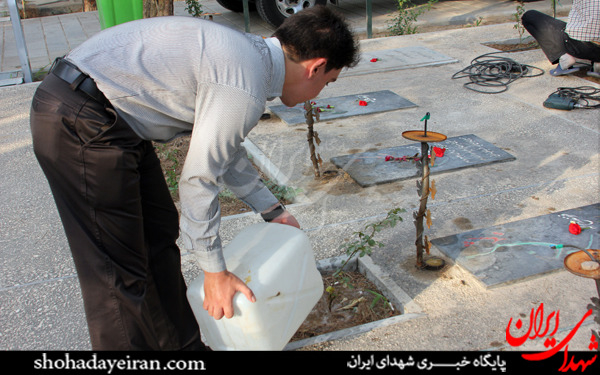عکس/گلزار شهدا