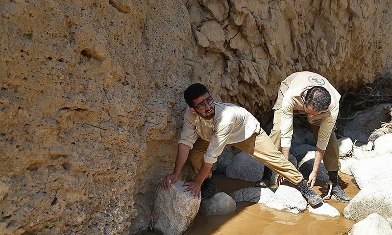 بسيج سازندگي؛اين بارعليه سيل بسيج سازندگي؛اين بارعليه سيل